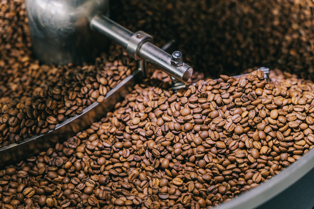 Zo herken jij goede kwaliteit koffiebonen