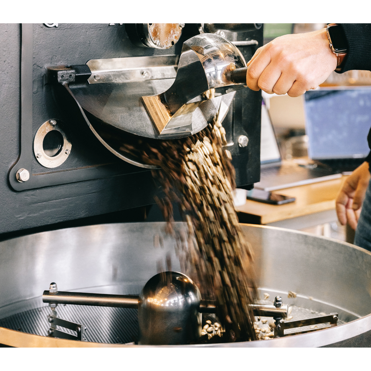 Probierpaket: Roaster's Choice
